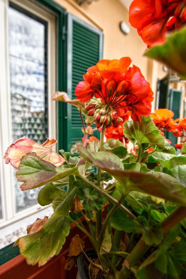 B&B Grazia Capua Exterior foto